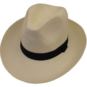 Panama kaabu